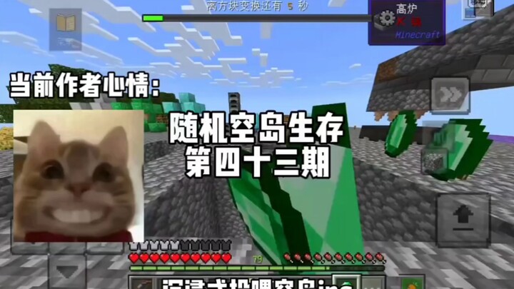 Minecraft: Random Sky Island Survival 43