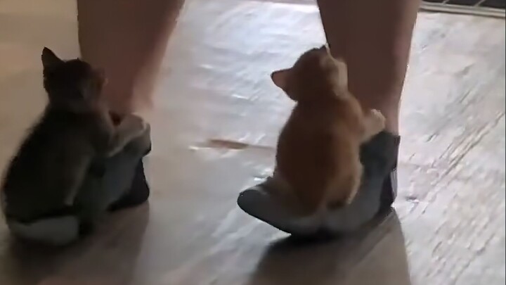 Unlovable people can’t get it!