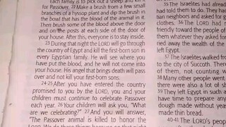 Daily Verse.                  Exodus 12:21-28