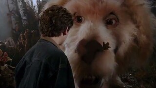 The NeverEnding Story III