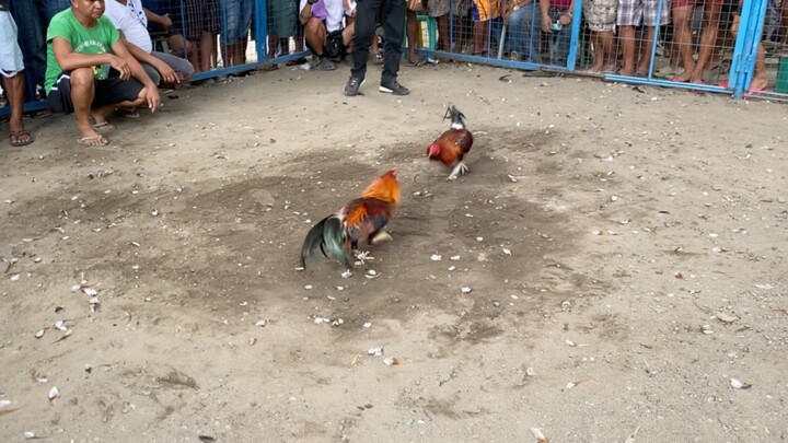 Di nakapasa sa exam c Pula