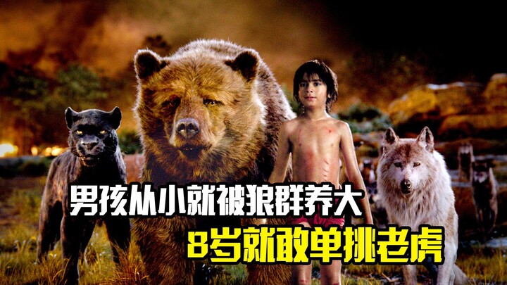 Boy Raised by Wolves Since Childhood: Takes on Tigers Alone at Age 8 in This Epic Adventure Film
