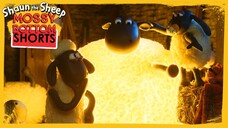 Shaun the sheep - Eps. light's out - Full Movie