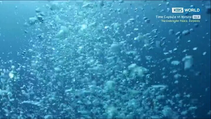Time Capsule Of Nature Ep. 6