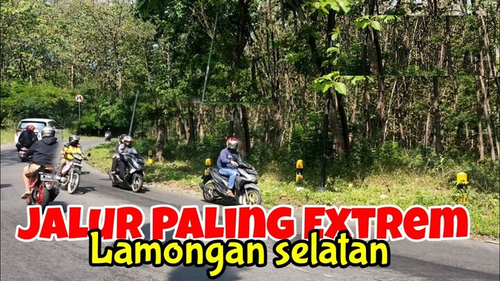 Jalur Paling Rawan di hutan perbatasan Lamongan-Jombang.