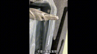 Superman Wan Guo Jack Ultraman buy carefully! The return of Ultraman Guiman Jack Ultraman Ultraman S