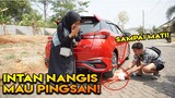 GA SENGAJA LINDES KUCING, INTAN PANIK, TRAUMA SAMPAI NANGIS!! PRANK TER-EPIC :P