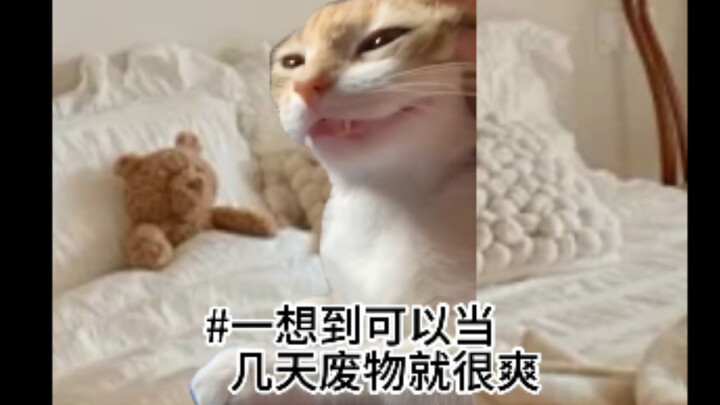 التغيرات في الحالة النفسية خلال عطلة مايو في المنزل