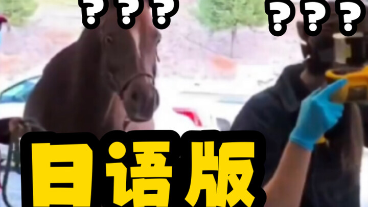 The number of strange horses has increased