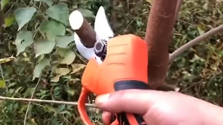 Human Speed Bump Tool