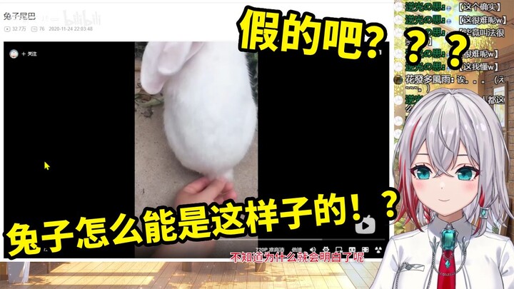 สาวญี่ปุ่นธรรมชาติดู “หางกระต่าย” ถึงกับโลกแตกเลยทีเดียว