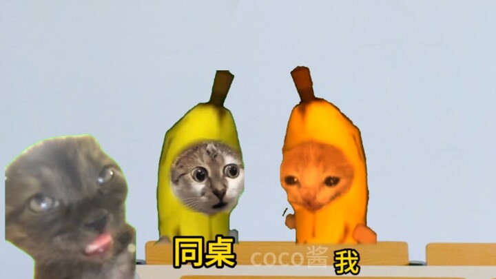 Teacher: Principal! One of my students just blew up!