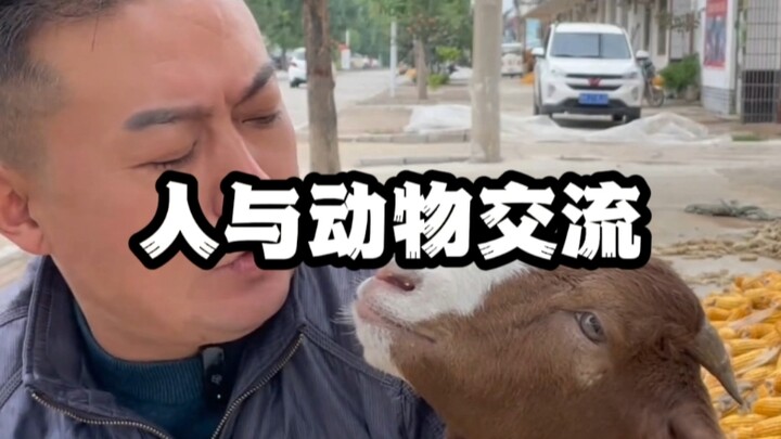 Tawa setiap hari: Komunikasi tanpa batas antara manusia dan hewan