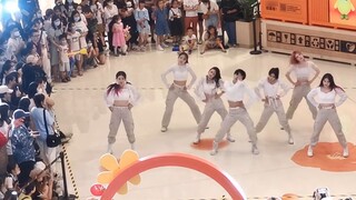 【NMIXX】แฟนๆ หน่วยรบพิเศษ