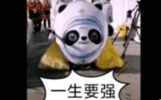 บิงตุนตุนผู้แข็งแกร่งตลอดชีวิต