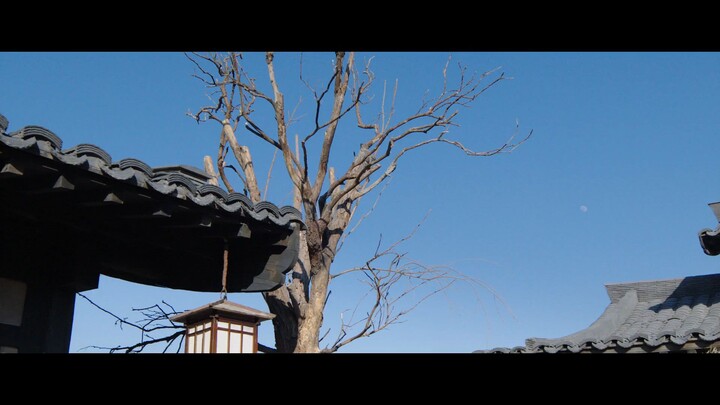 🇨🇳 The Vendetta Of An Ep 5 Sub Indo 🇲🇨