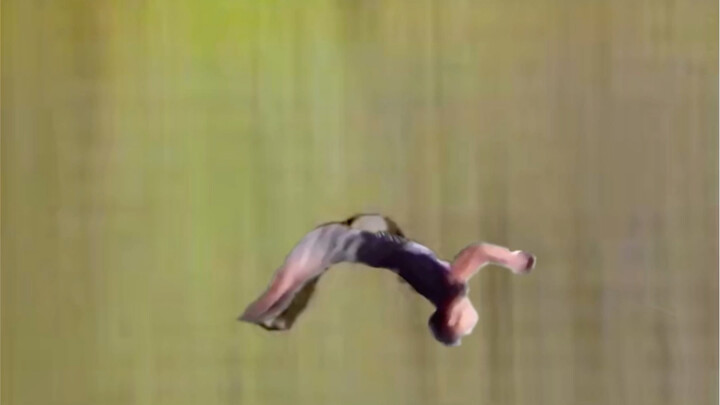 Kaisar Petir Muncul ke Dunia