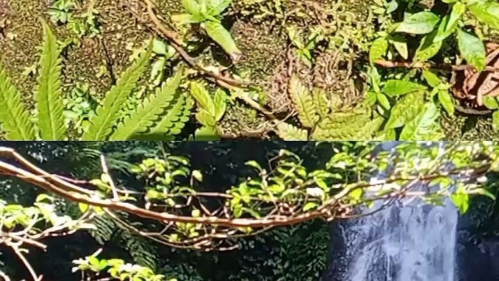 view in isarog falls