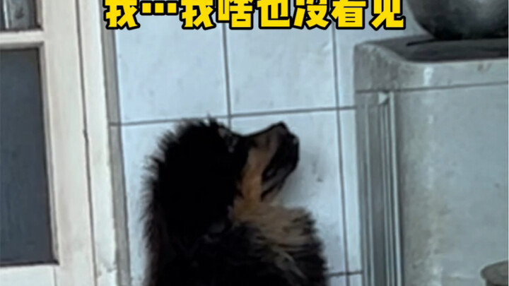 أطلب منك أن تقضم حذائي