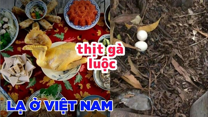 Những thứ quen thuộc với người VN nhưng lại lạ với người nước ngoài - Top comment.