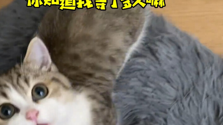 When Your Girlfriend Doesn't See You