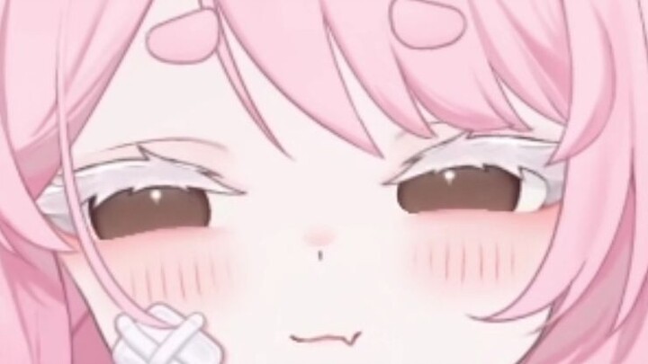 I’m the Super Invincible Big Bird!