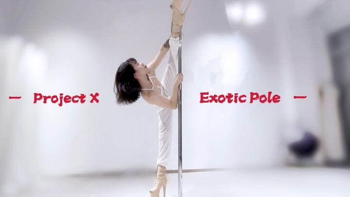 Project X｜Mission Unknown｜High Heels Pole Dance｜Exotic Pole