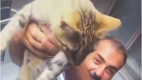 The older brother happily showed everyone the cat he found in the elevator.