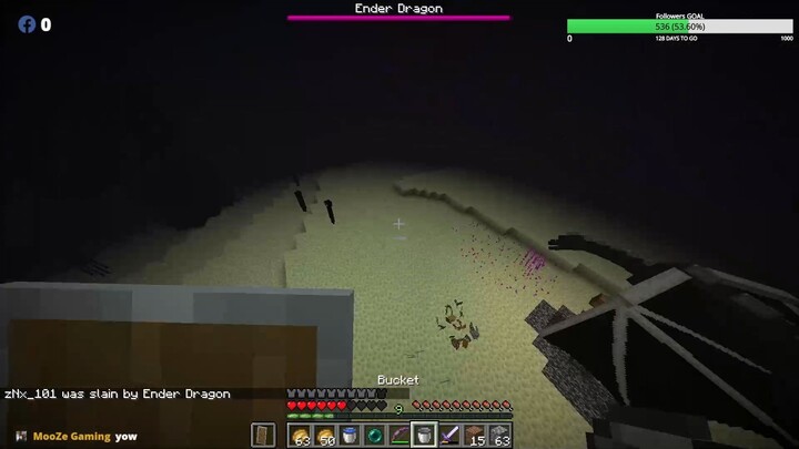 ENDER FIGHT