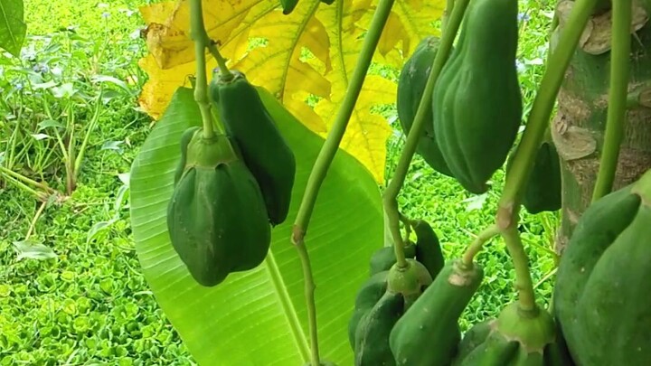 Weather ☁️ in my house today