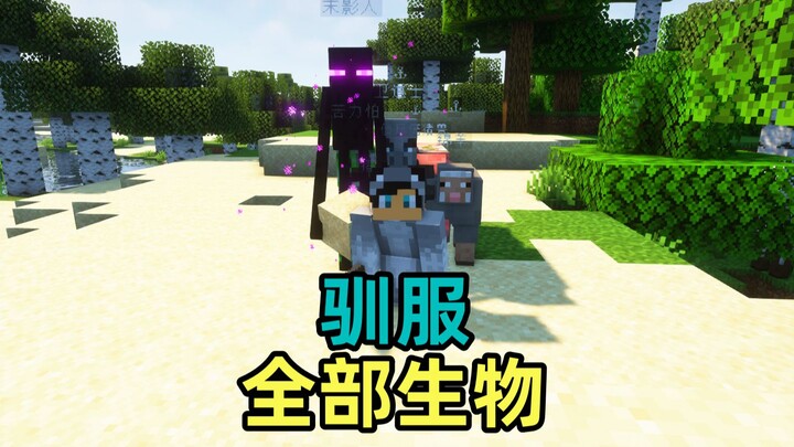 Minecraft: Saat Aku Bisa Menjinakkan Semua Mob!