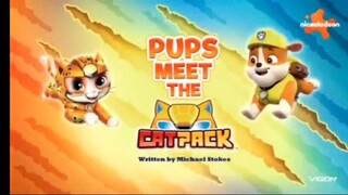 Paw Patrol Musim 9 Episode 2 Bahasa Indonesia