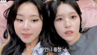 [Chinese Subtitles] TWICE's Sana's US + Tokyo Dome Concert Vlog: A Record of Misa's Life After Marri