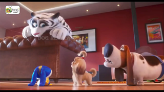 REVIEW PHIM ĐẲNG CẤP THÚ CƯNG 2 - The Secret Life of Pets 2 __ SASUKE ANIME