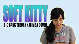 SOFT KITTY Big Bang Theory Kalimba instrumental Cover EASY!