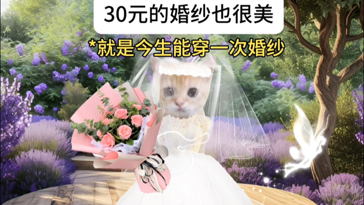 It’s a crinoline, but it’s also the most expensive one.