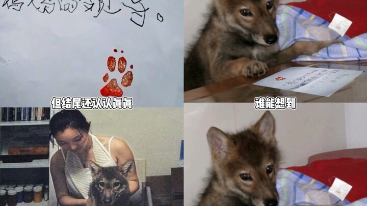 Surat pernyataan yang ditulis saat kecil akhirnya diwujudkan Greed selama seumur hidupnya.