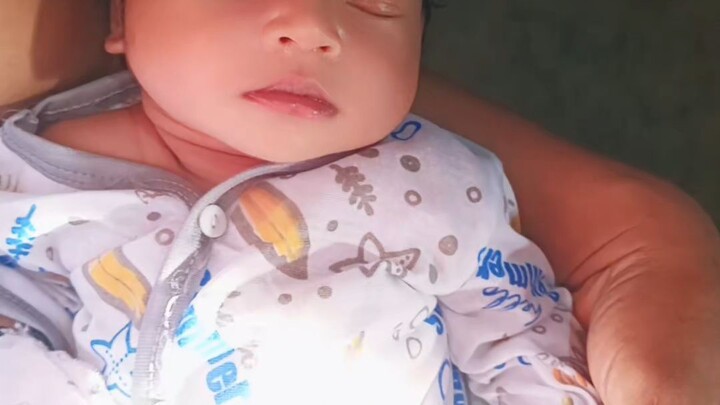 meme comel
