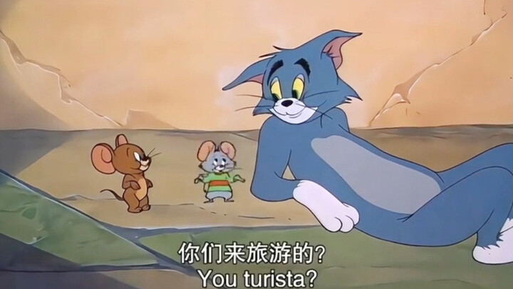 Siapa yang bisa menolak Tom?