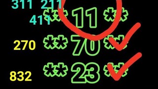 SWERTRES HEARING AND STL TIP MARCH 10 2019