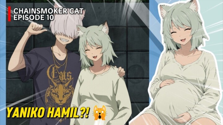 Chainsmoker Cat Episode 10 || Yani akan menjadi MAMA 👩