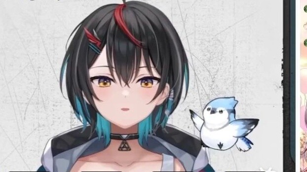 Kakak Tianyin melihat ke arah Baiqie tiao dan berbicara tentang kakak Tianyin
