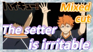 [Haikyuu!!]  Mix cut | The setter is irritable