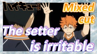 [Haikyuu!!]  Mix cut | The setter is irritable