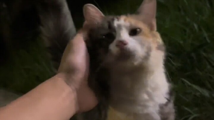 I grabbed it so easily