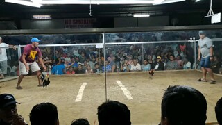 Special curum.. 3rd fight