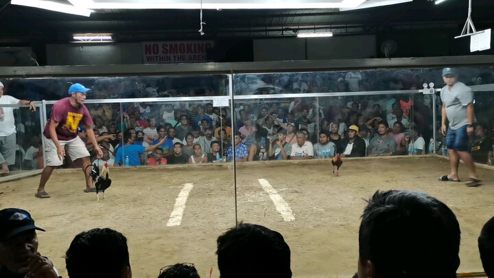Special curum.. 3rd fight
