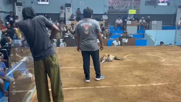 WIN! @SMCA 03/01/26 HACKFIGHT!!!