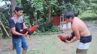 sweater vs hatch ♥️