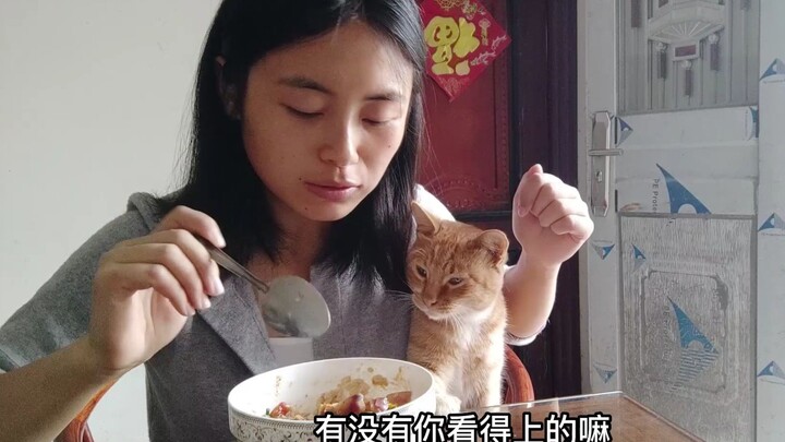 The Difference Between Cats and Humans...